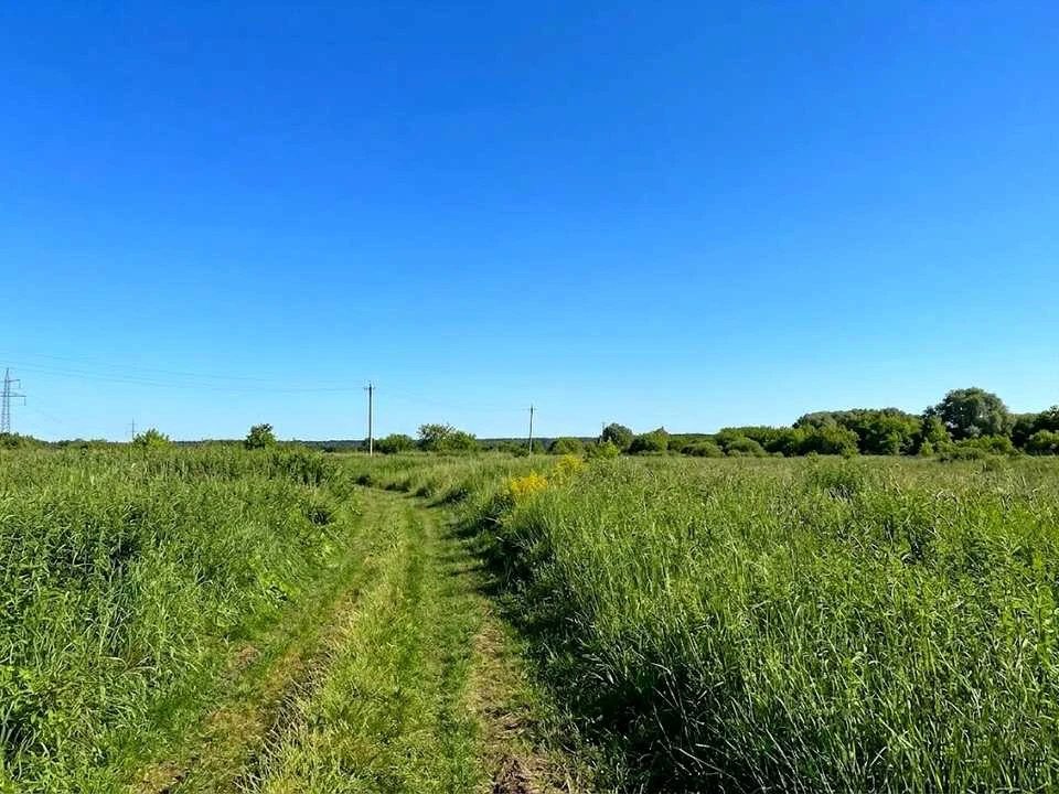 Ділянка. Ірпінь,