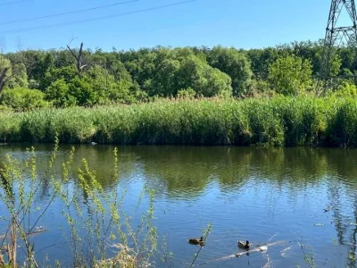 Ділянка. Ірпінь,
