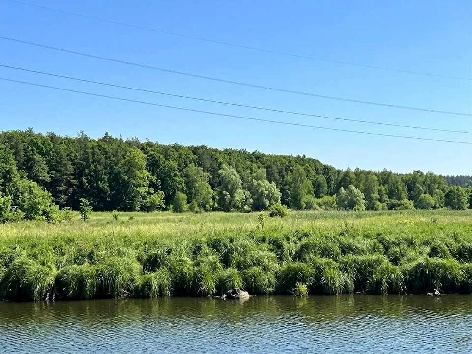 Ділянка. Ірпінь,