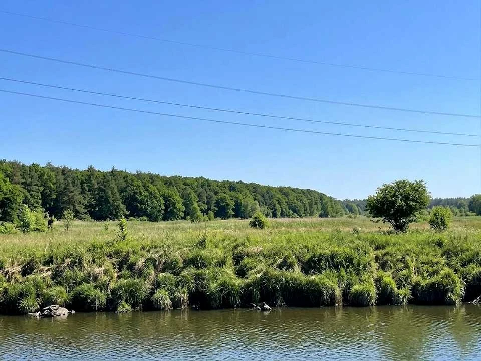 Ділянка. Ірпінь,