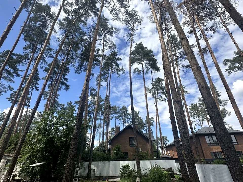 Ділянка. Ірпінь, Вериківського вул.