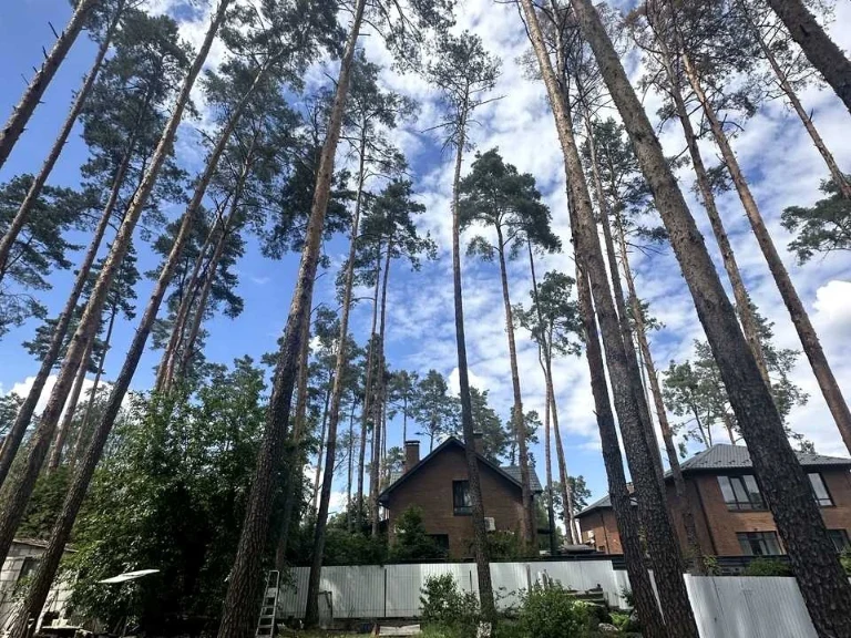 Ділянка. Ірпінь, Вериківського вул.