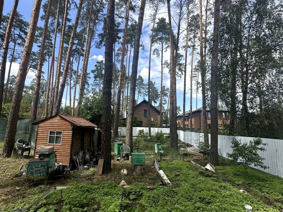 Ділянка. Ірпінь, Вериківського вул.