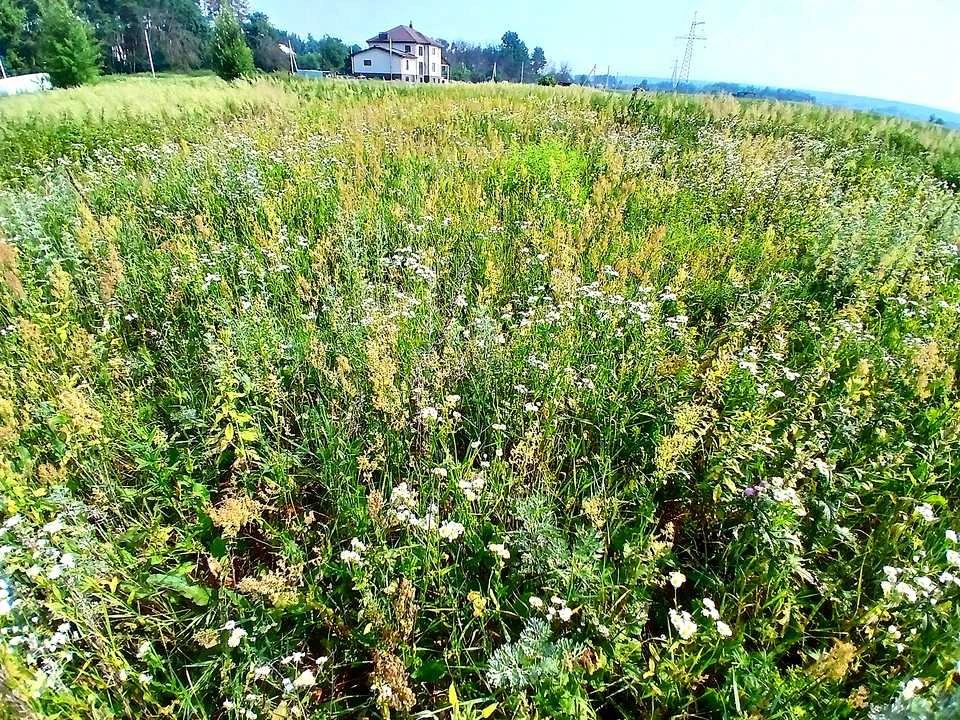 Ділянка. Ірпінь, Лугова вул.