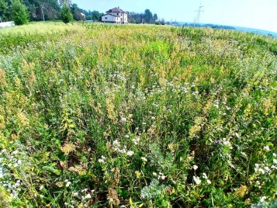 Ділянка. Ірпінь, Лугова вул.