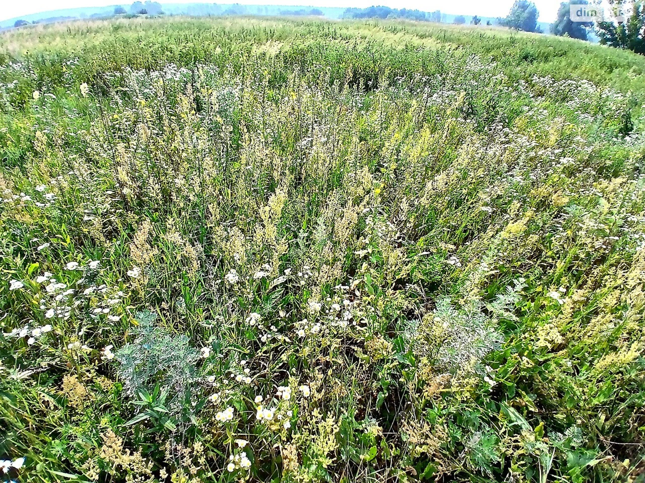 Продаж Ділянка під житлову забудову