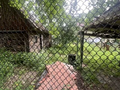 Ділянка. Ірпінь,