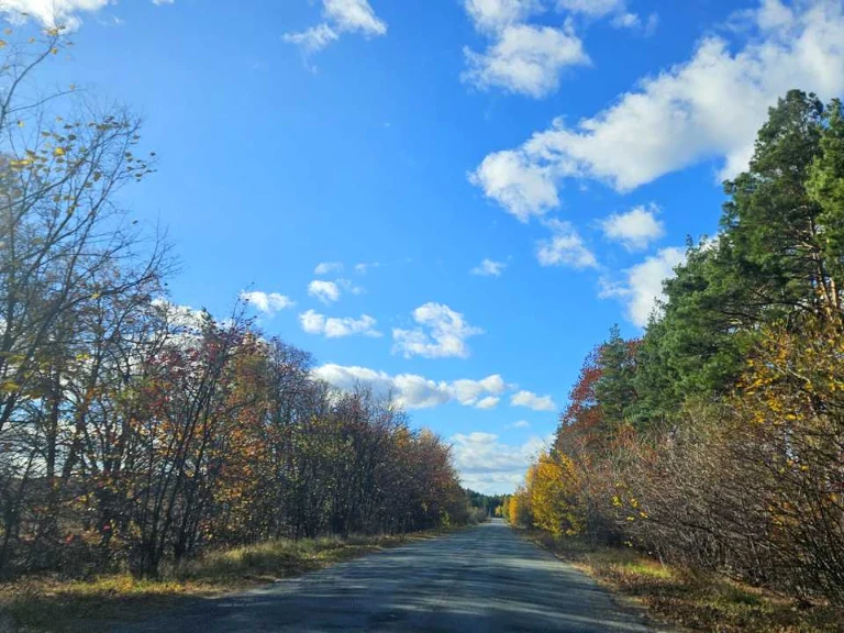 Ділянка. Ірпінь, Фасад