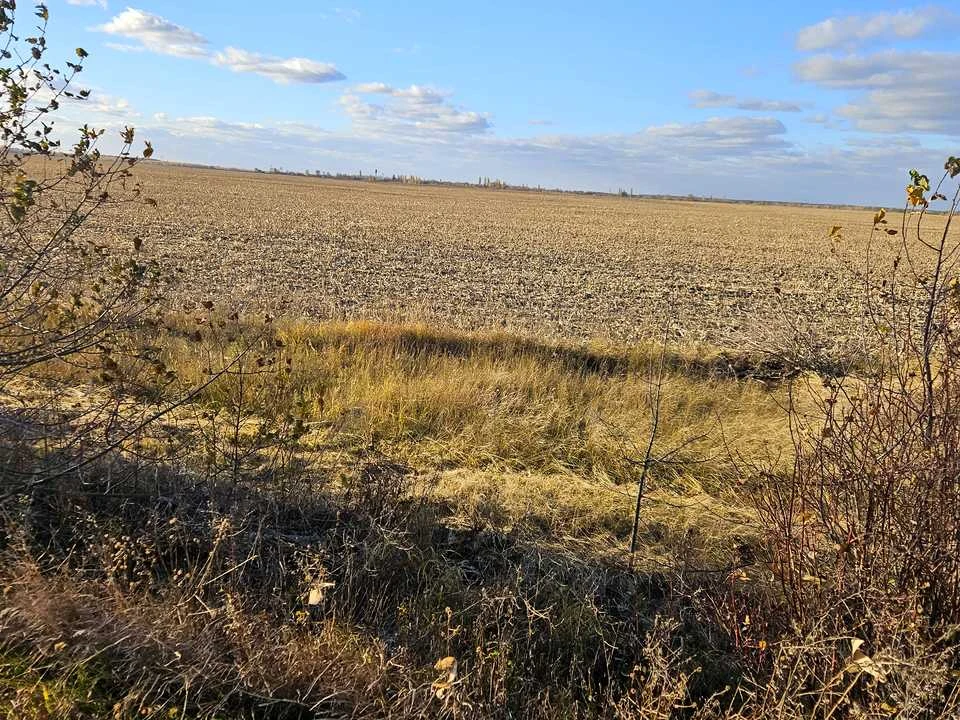Ділянка. Ірпінь, Фасад