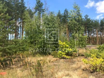 Ділянка. Ірпінь,