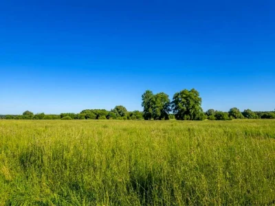 Ділянка. Ірпінь,