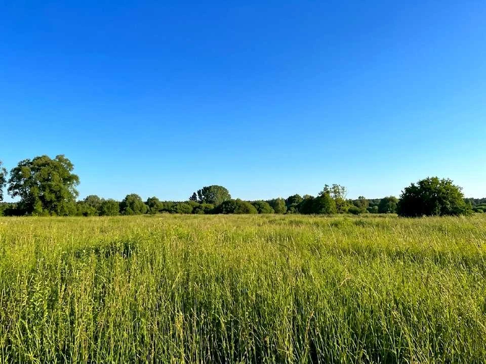 Ділянка. Ірпінь,
