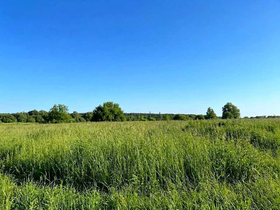Ділянка. Ірпінь,