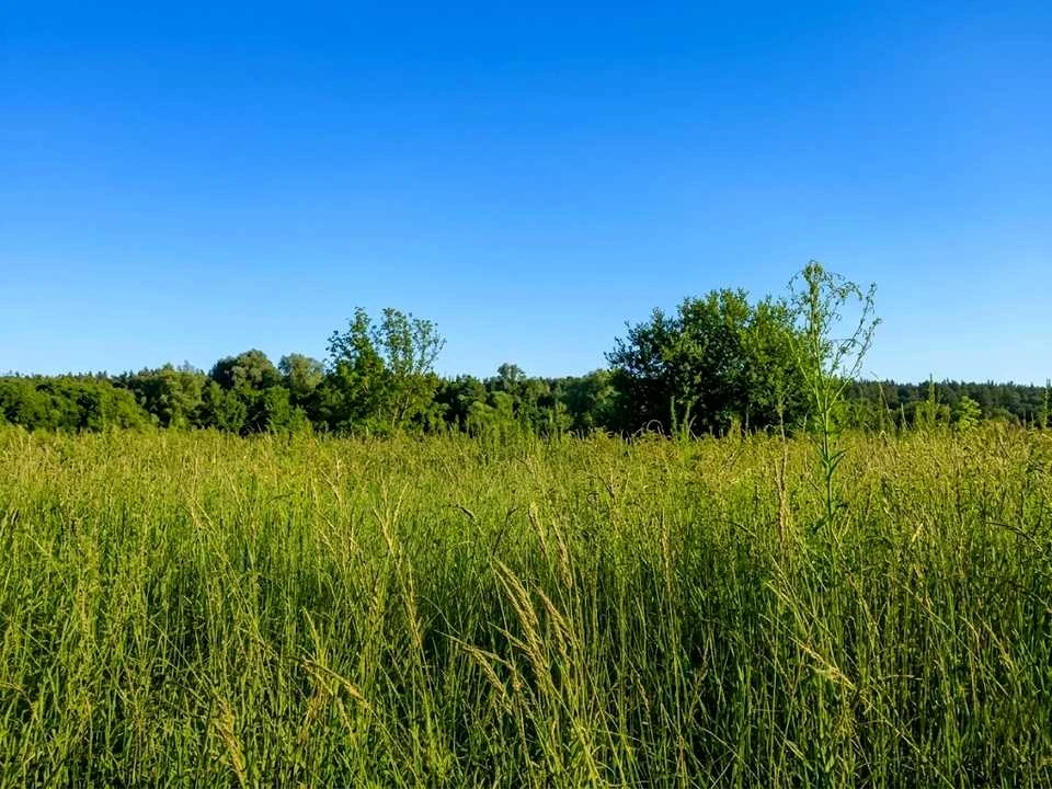 Ділянка. Ірпінь,