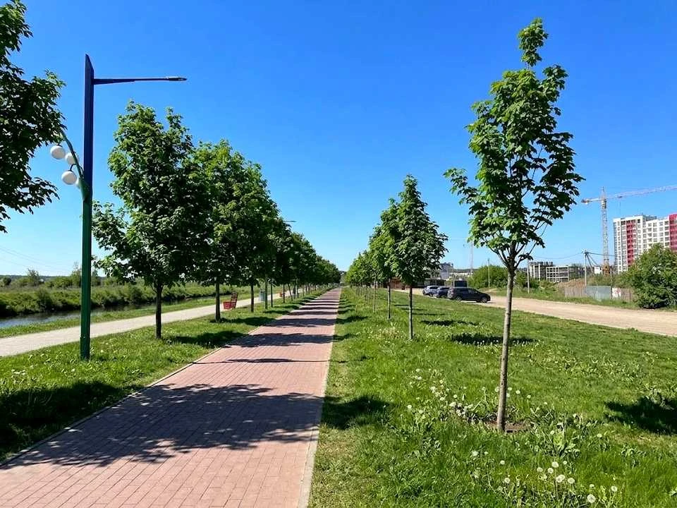 Ділянка. Ірпінь,