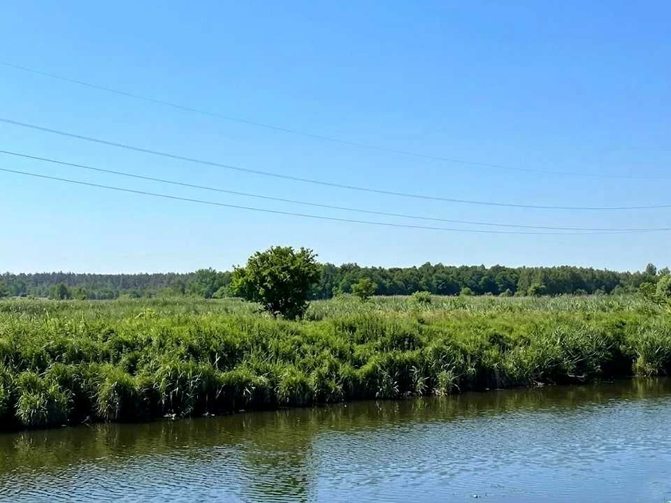 Ділянка. Ірпінь,