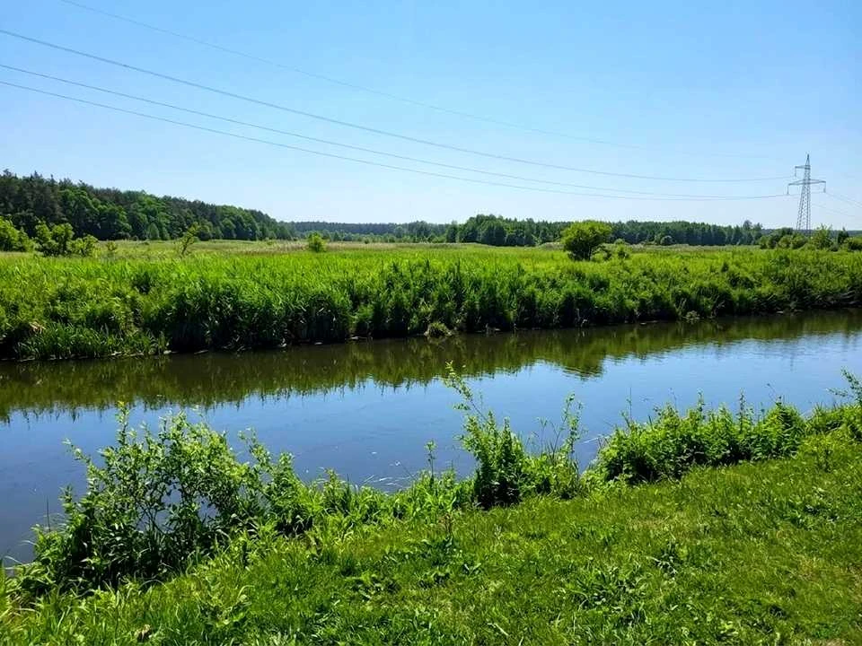 Ділянка. Ірпінь,