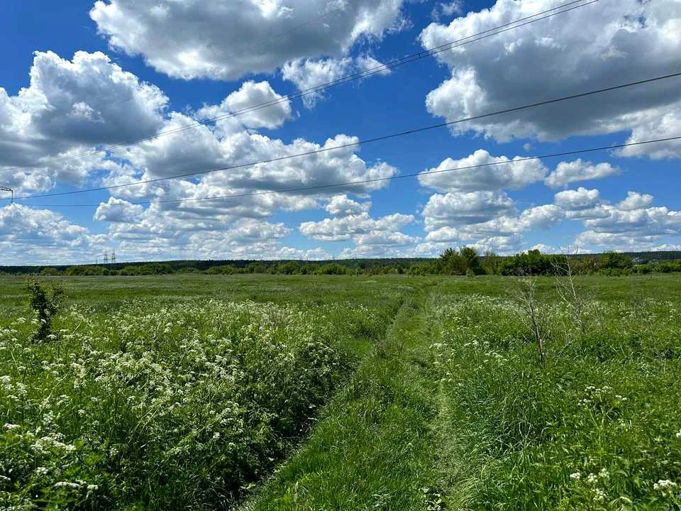 Ділянка. Ірпінь,