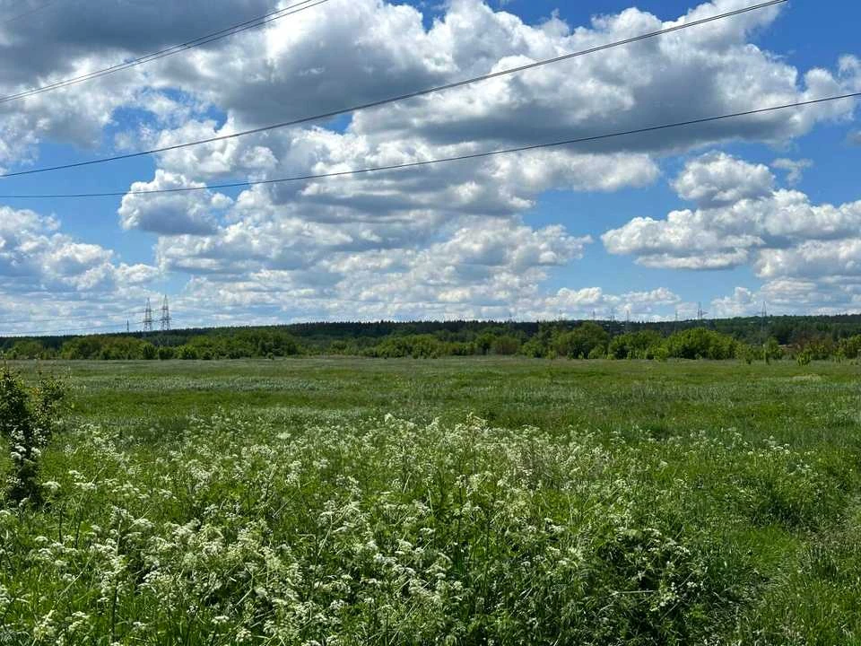 Ділянка. Ірпінь,