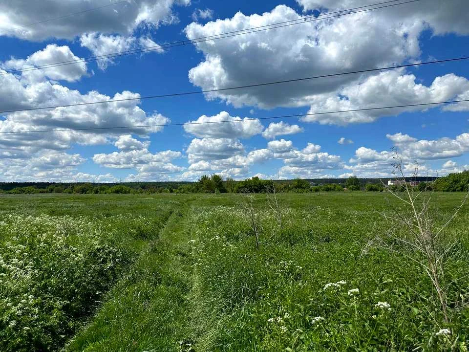 Ділянка. Ірпінь,
