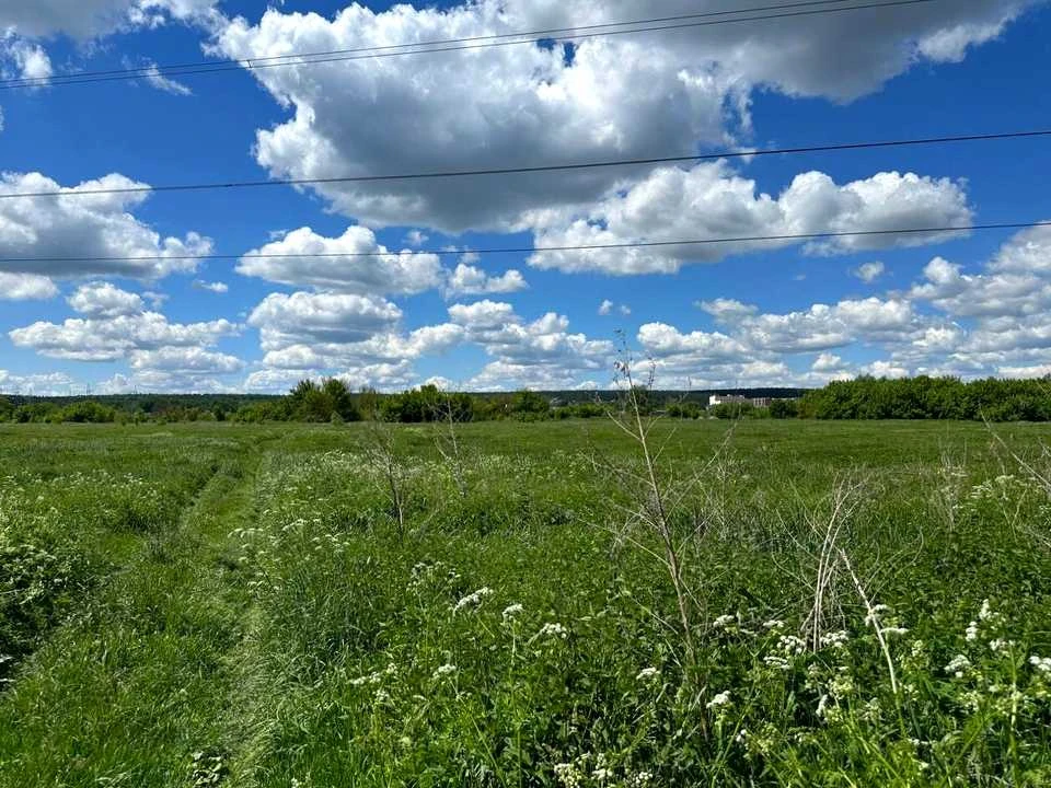Ділянка. Ірпінь,