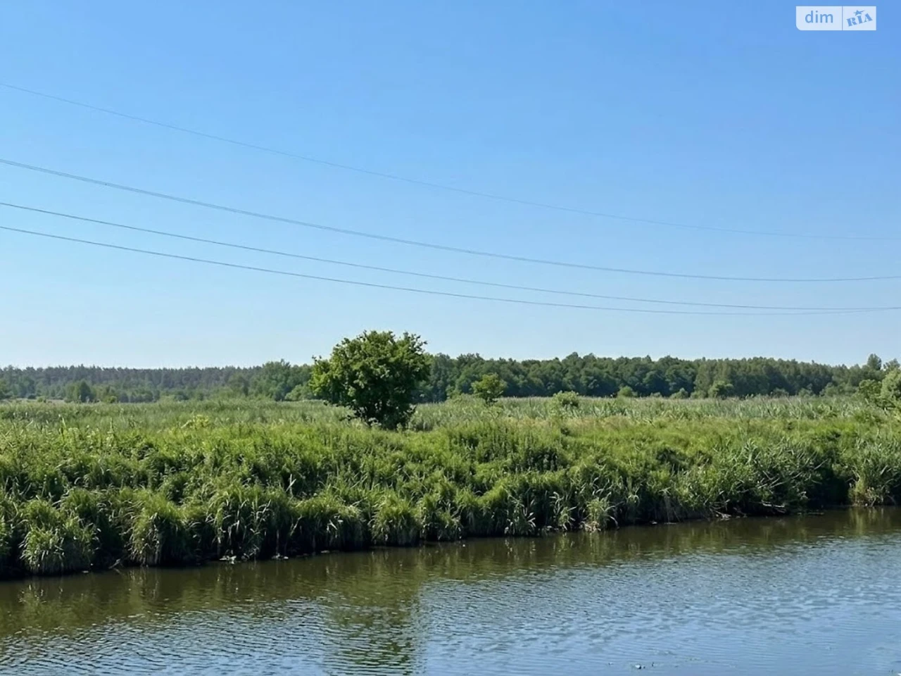 Продаж Земля сільськогосподарського призначення