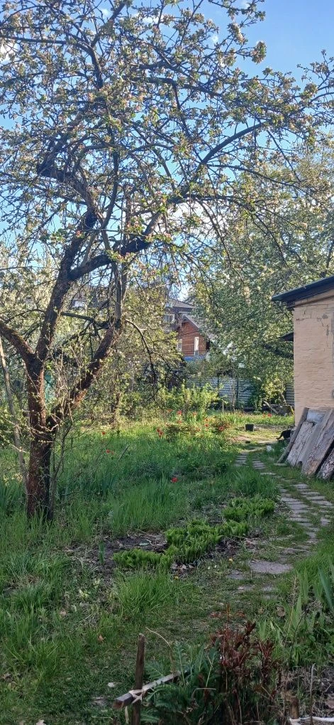 Продам земельну ділянку