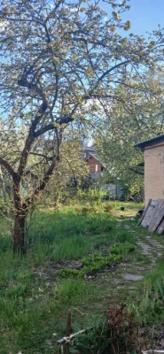 Продам земельну ділянку