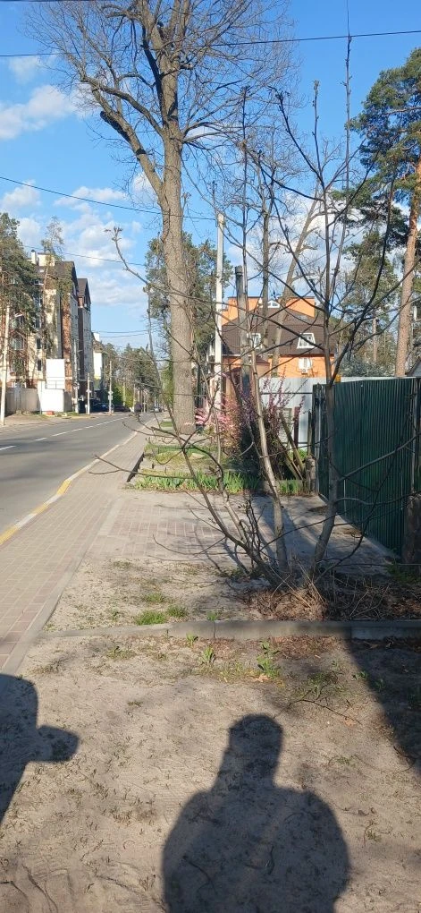 Продам земельну ділянку