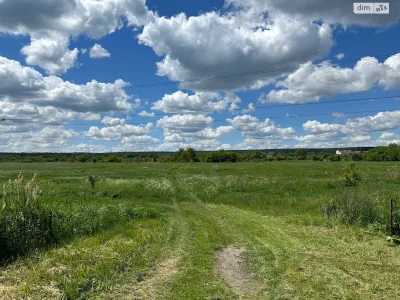 Продаж Земля сільськогосподарського призначення Романівка