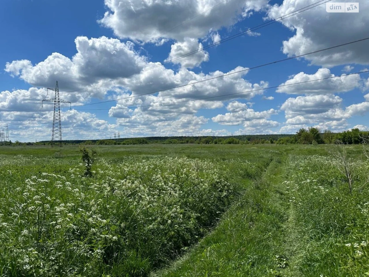 Продаж Земля сільськогосподарського призначення Романівка