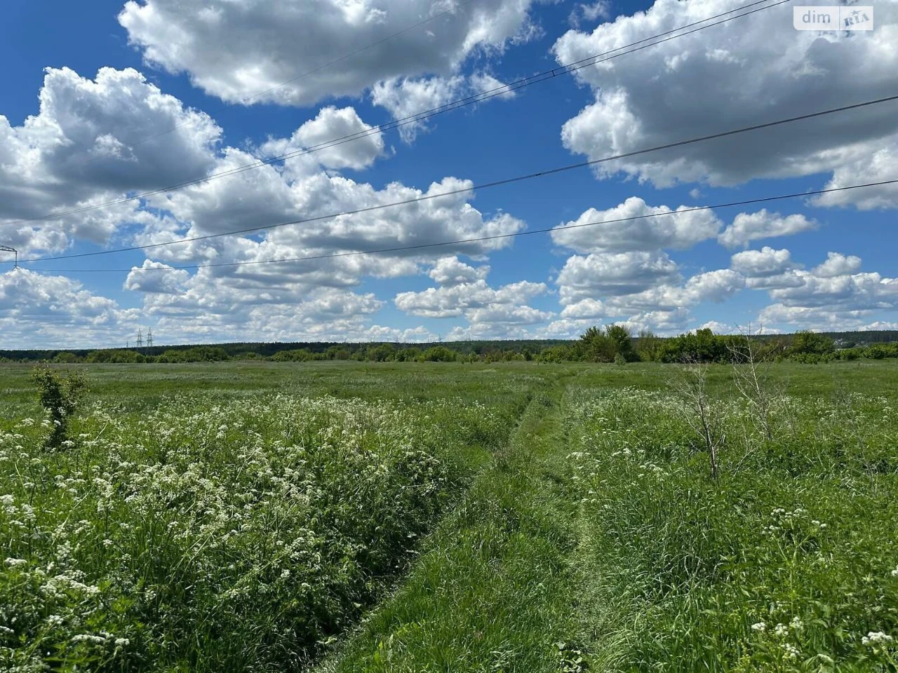 Продаж Земля сільськогосподарського призначення Романівка