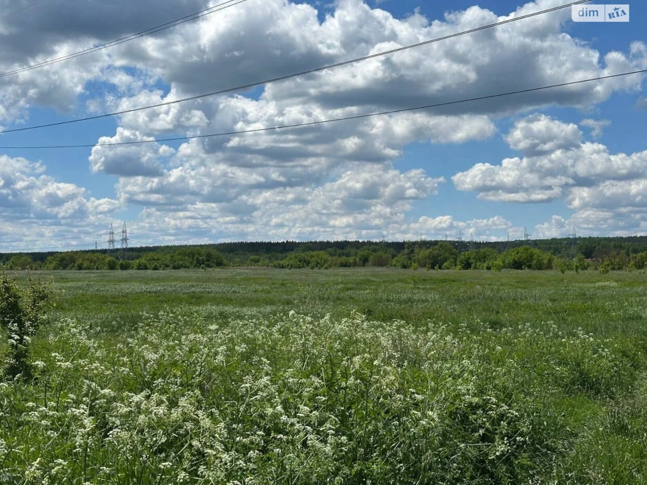Продаж Земля сільськогосподарського призначення Романівка