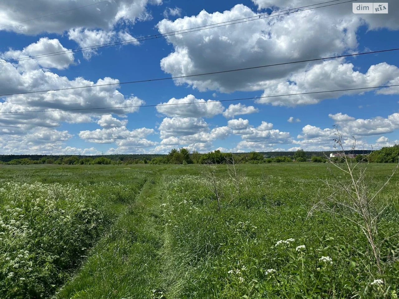 Продаж Земля сільськогосподарського призначення Романівка