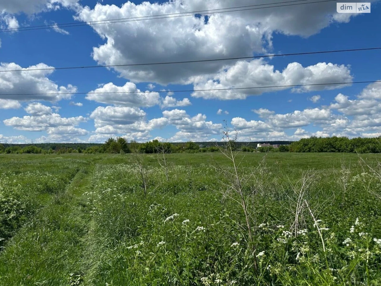 Продаж Земля сільськогосподарського призначення Романівка