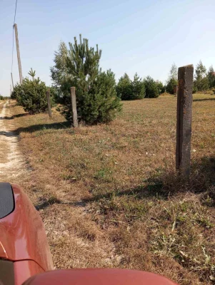 Земельный участок. Ставище Житомирская область.