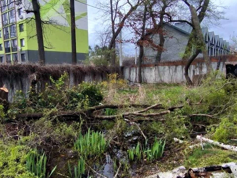 Ділянка. Ірпінь, Павленка вул.