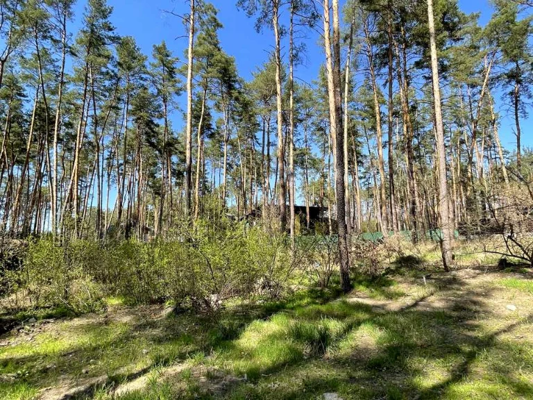 Ділянка. Ірпінь, Львівська вул.