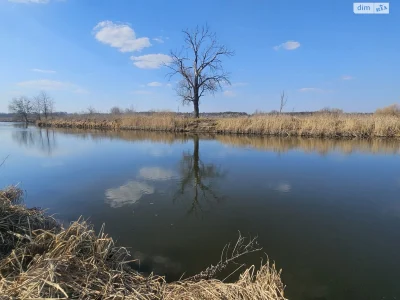 Продаж Земля сільськогосподарського призначення Ірпінь