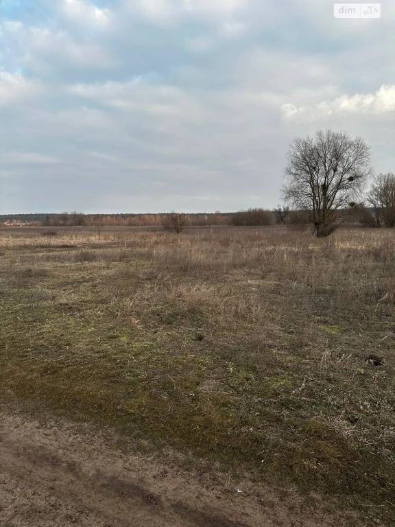 Продаж Ділянка під житлову забудову Ірпінь