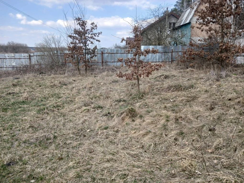Ділянка 6 соток Романівка