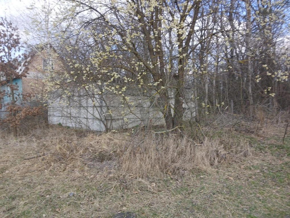 Ділянка 6 соток Романівка