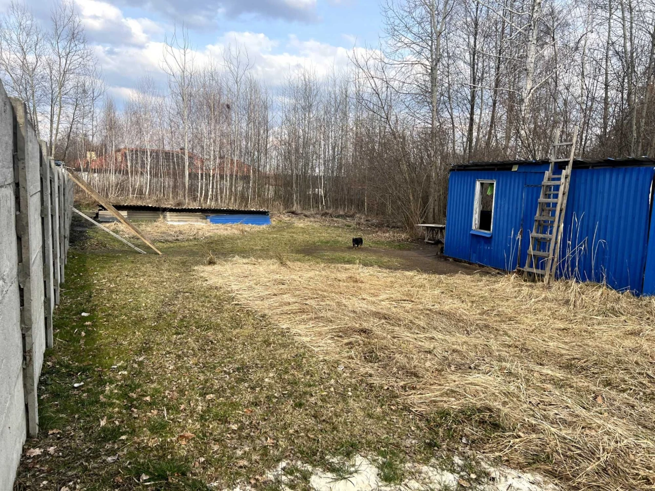 Земельна ділянка Ірпінь 8 сот. біля лісу з комунікаціями