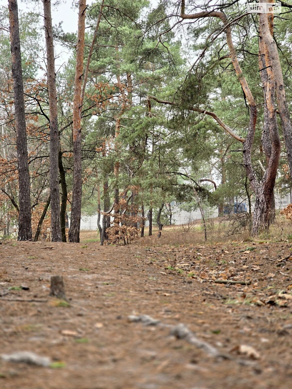 Продаж Ділянка під житлову забудову Ірпінь