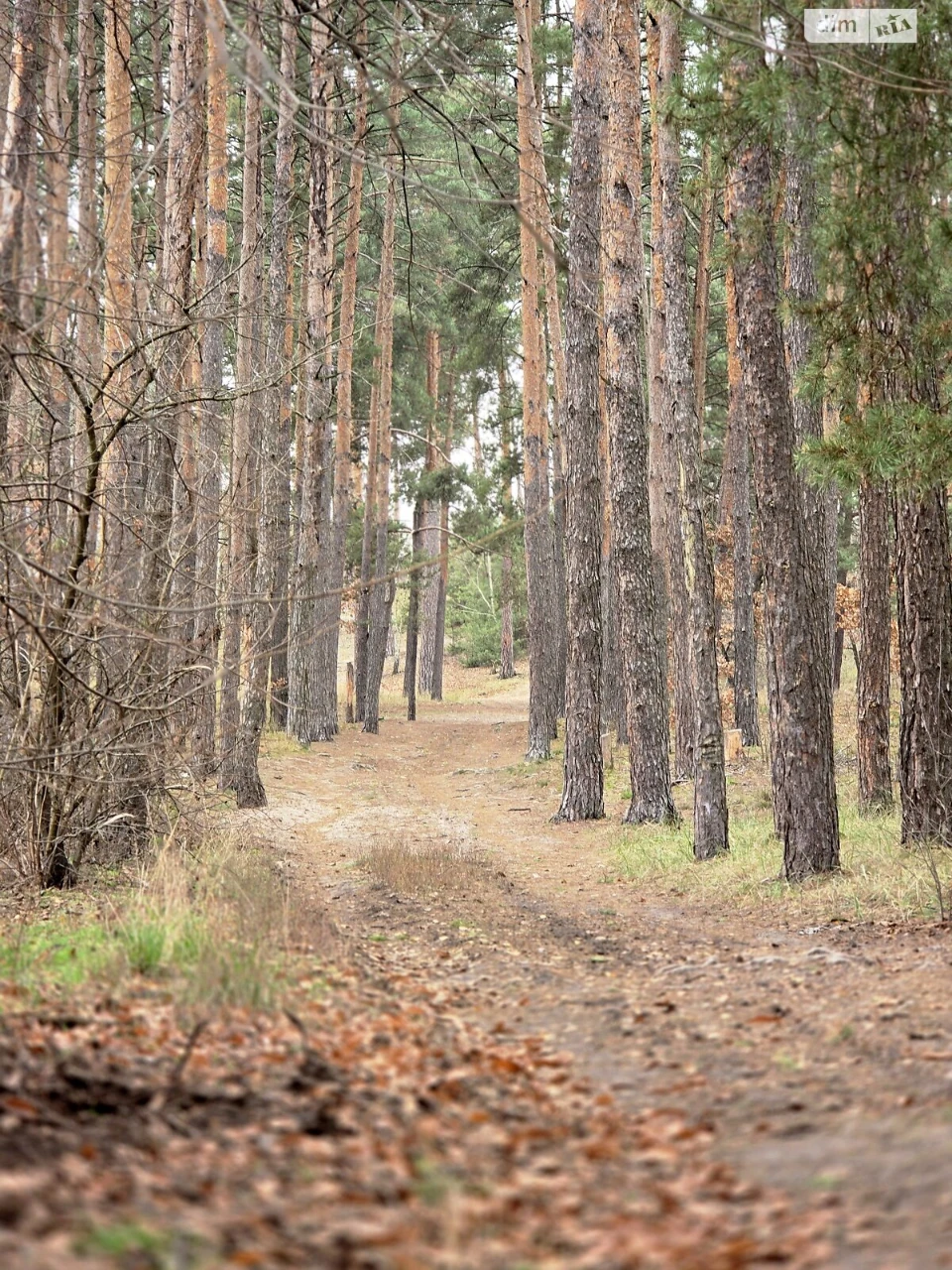 Продаж Ділянка під житлову забудову Ірпінь