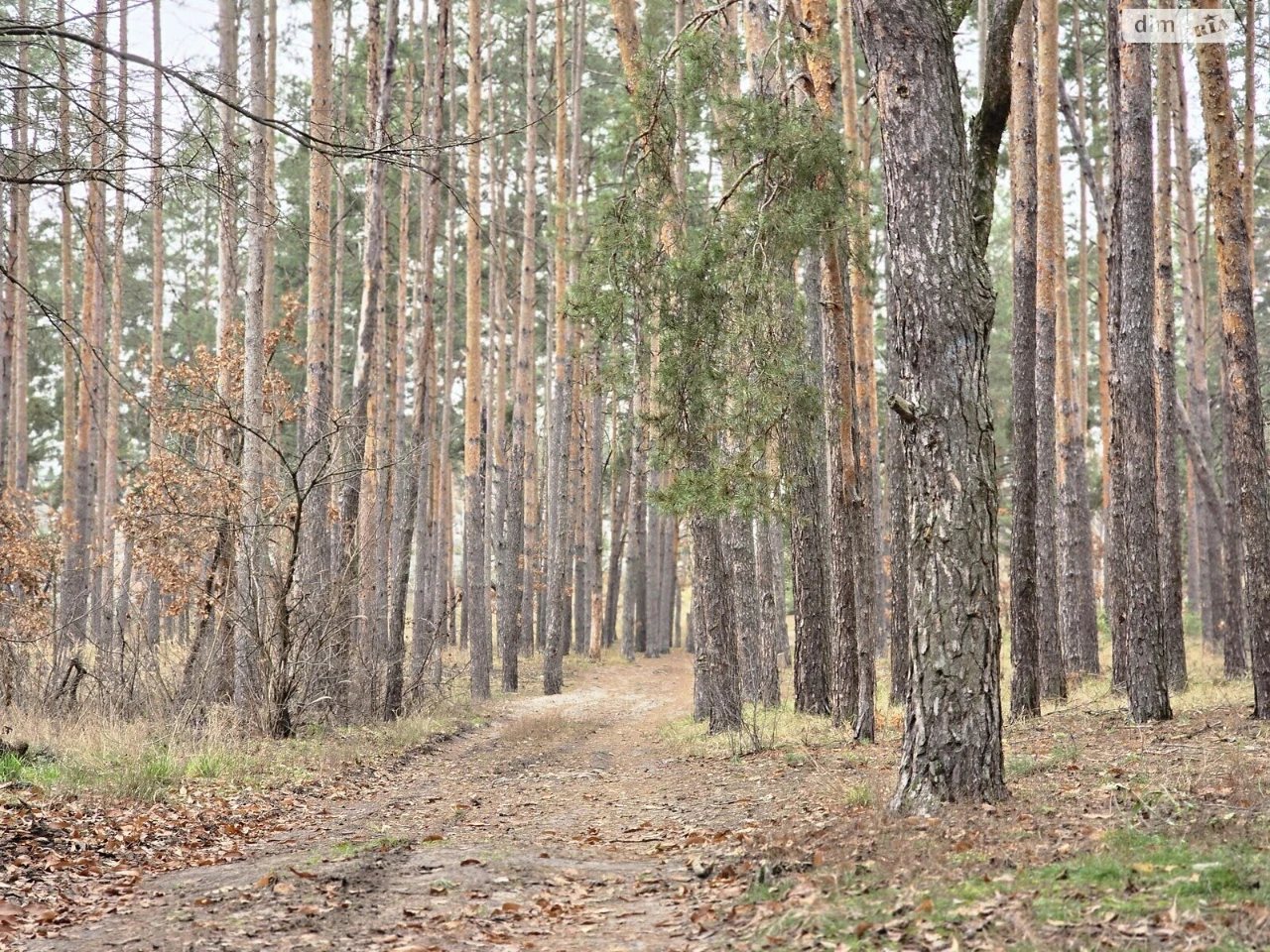 Продаж Ділянка під житлову забудову Ірпінь