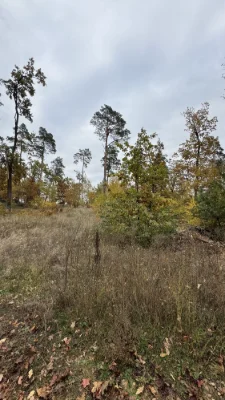Продаж земельної ділянки м Ірпінь. КМ Сосновий Гай