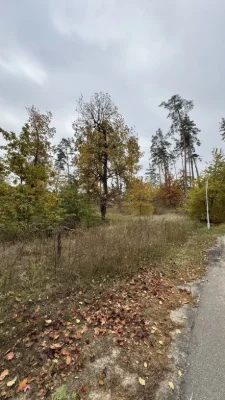Продаж земельної ділянки м Ірпінь. КМ Сосновий Гай