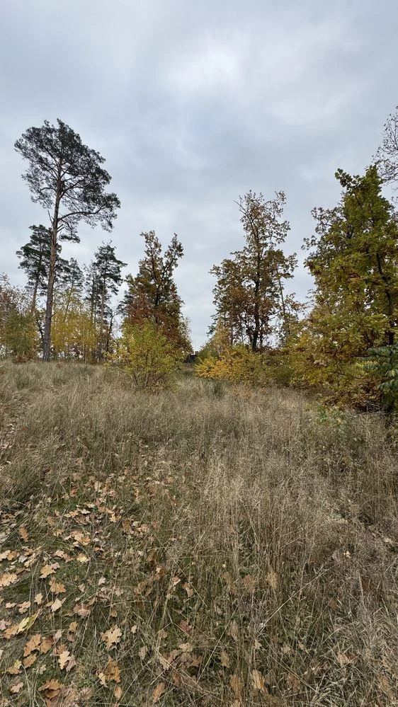Продаж земельної ділянки м Ірпінь. КМ Сосновий Гай