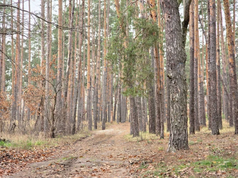 Ділянка 10 соток під будівництво. Комунікації поруч
